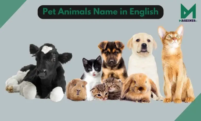 10 pet animals name